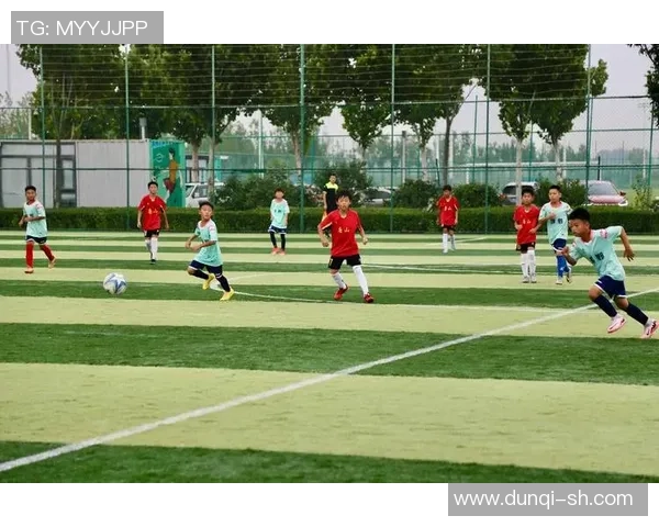 足球小将梦回绿茵场 球星风采跃然纸上 勇气与激情的完美结合 足球小将梦回绿茵场 球星风采跃然纸上 勇气与激情的完美结合