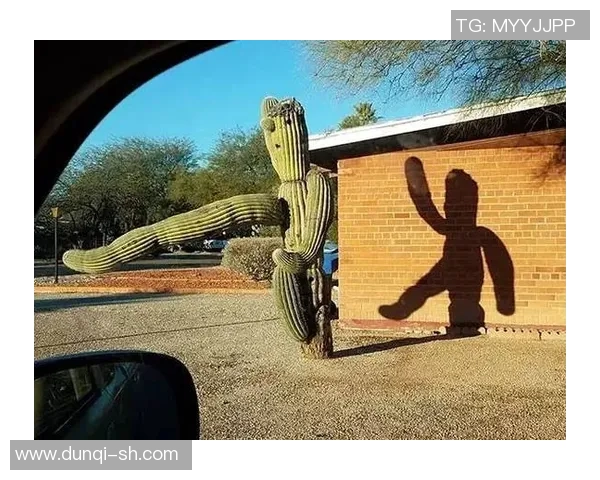 足球明星脚臭大揭秘：那些被忽略的秘密与球场背后的趣事